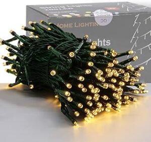 HOME LIGHTING
