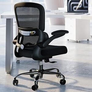 Office Chair - Ergonomic Desk Chair with Adjustable Lumbar Support, Mesh Computer Chair, Executive Chairs for Home Office Comfortable Lumbar Support (Black)