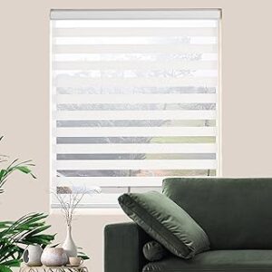 Zebra Roller Shades, Dual Layer Roll Up Blind for Living Room, Semi Sheer Shades Window Privacy Light Control for Day and Night, (Maximum Height 72inch, White Color, Width 33 inch)