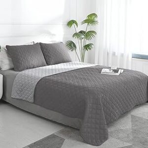 Easy-Going Queen Plus Size Reversible Quilt Set with 1 Quilt and 2 Pillow Shams, Soft Bed Quilt Cover, Water Resistant Lightweight Microfiber Bedspread, Stain Resistant, Gray/Light Gray