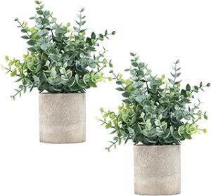 2 Pack Small Fake Plants Eucalyptus Potted Artificial Plants for Shelf Desk Home Bathroom Farmhouse Room Coffee Table Decor (Sage Green)