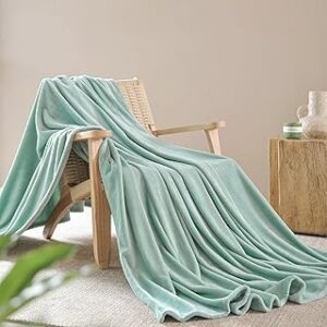 Fleece Blanket Throw Size - Soft Plush Fluffy Fuzzy Throw Blanket for Couch Bed Sofa - Luxury Lightweight Warm Microfiber Flannel Blanket All Season Use for Home Travel Camping, 50x60 inches