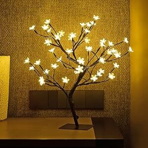 LIGHTSHARE